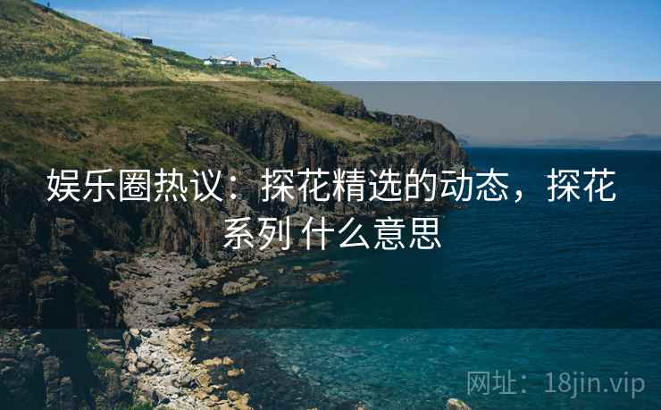 娱乐圈热议：探花精选的动态，探花系列 什么意思