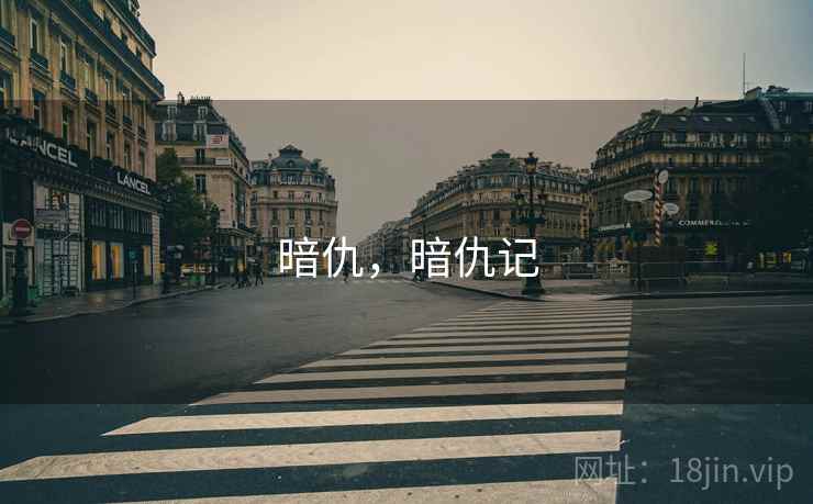 暗仇，暗仇记