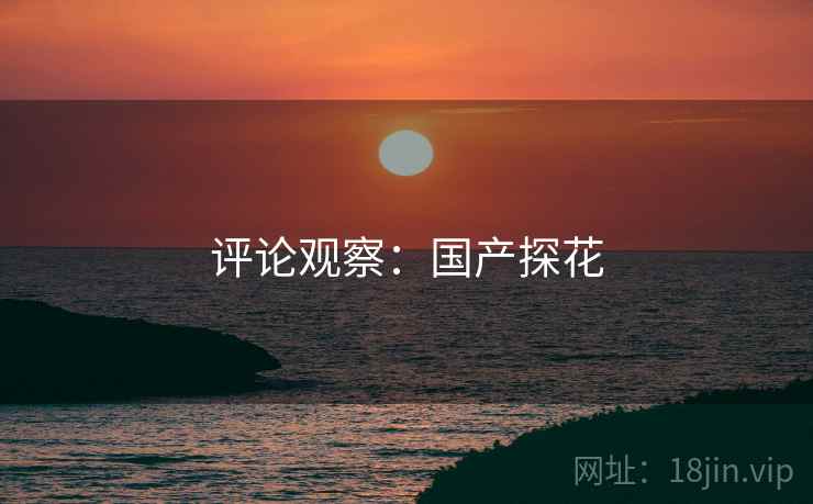 评论观察：国产探花