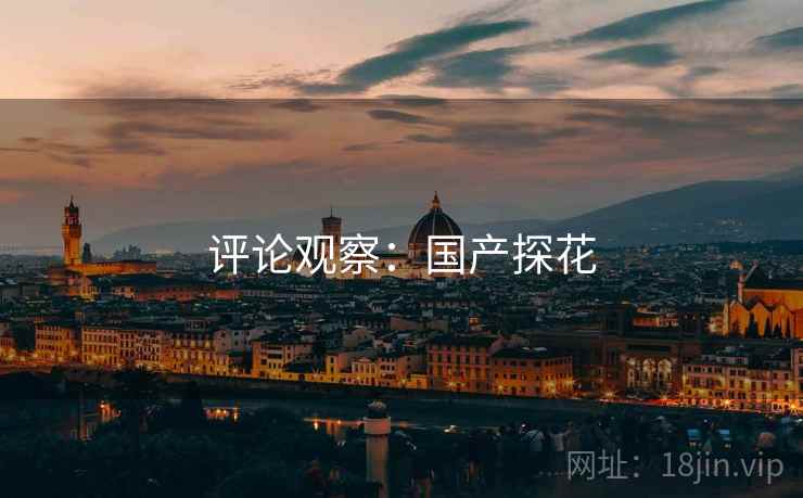 评论观察：国产探花