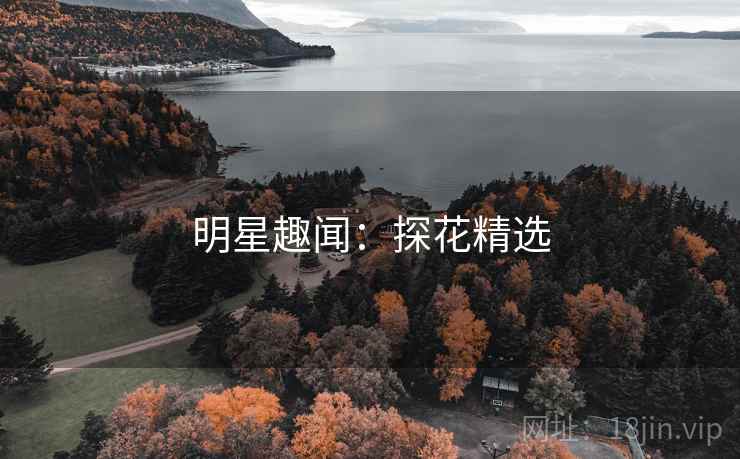 明星趣闻：探花精选